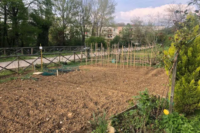 “Orti Urbani San Miniato”: incontro pubblico a Siena Orti urbani San Miniato a Siena