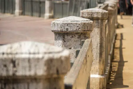 Palio di Siena del 16 agosto 2024: 35 cavalli alla Tratta