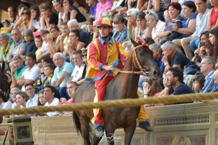 Sono buone le condizioni di Zentile, il cavallo della Chiocciola infortunatosi ieri al Palio