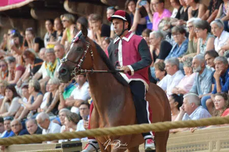 Esclusione della Civetta dal Palio: l’intervento della Contrada