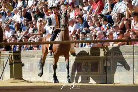 Palio di Siena del 16 agosto 2022: la Lupa vince la Terza prova