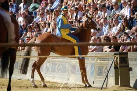 La seconda prova del Palio di Siena del 16 agosto 2022 – FOTO