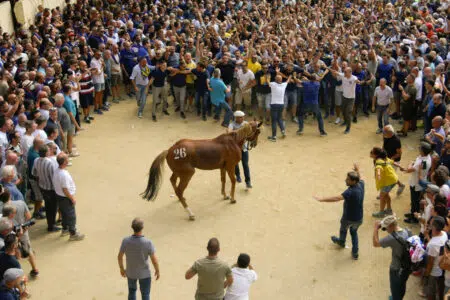 Palio di Siena del 16 agosto 2022: la Seconda prova alla Tartuca