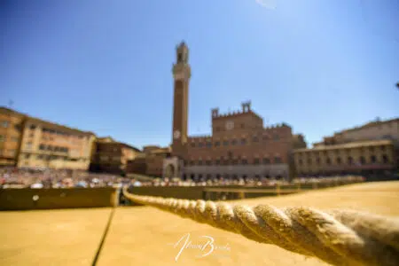 Palio di Siena 16 agosto 2026: i 10 cavalli al canape