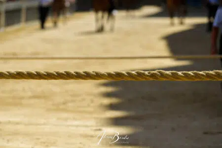Annullata la Prima prova del Palio del 16 agosto 2022
