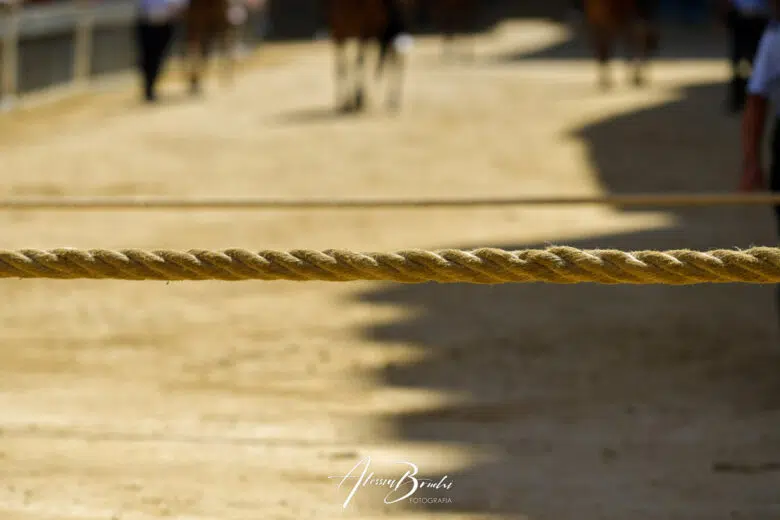 Annullata la Prima prova del Palio del 16 agosto 2022
