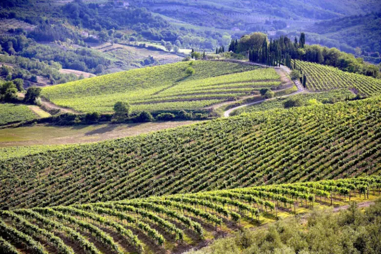 StraFesta Toscana: un calendario unico che si rinnova ogni mese