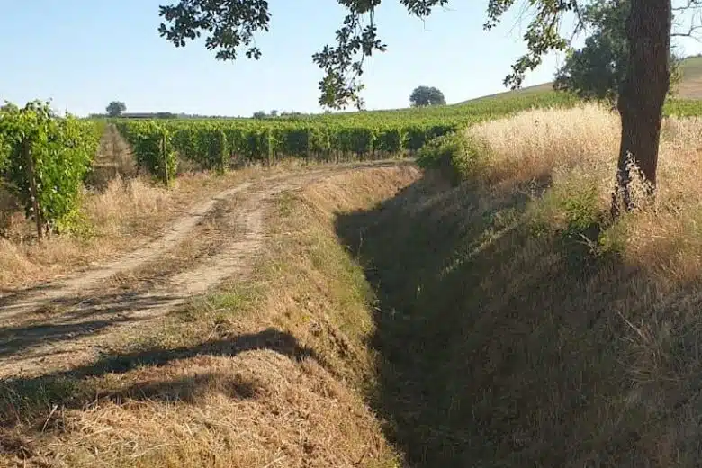 Intervento del Consorzio di Bonifica a Montalcino
