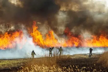 Rischio incendi, dal 1° luglio vietato accendere fuochi in tutta la Toscana Vigili del Fuoco intervengono per un incendio alle sterpaglie