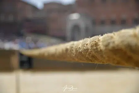 Canape Palio di Siena
