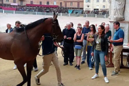 Palio di Siena, l’impegno dei veterinari dell’Asl Toscana sud est per la carriera dell’Assunta