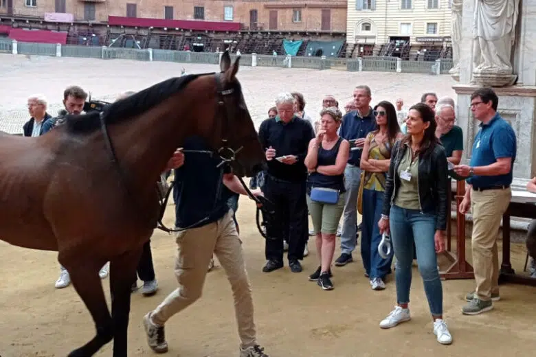 Palio di Siena, l’impegno dei veterinari dell’Asl Toscana sud est per la carriera dell’Assunta