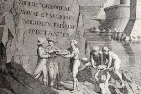 Pesci, conchiglie, fossili: sono gli argomenti di una mostra di libri antichi all’Accademia dei Fisiocritici