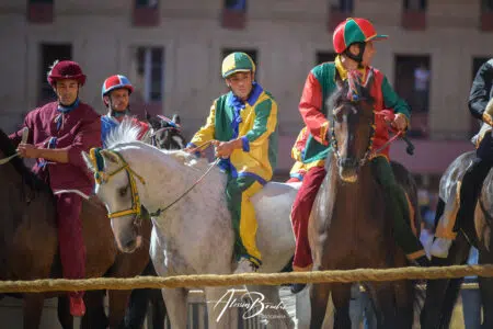 Palio di Siena del 2 luglio 2022: il borsino definitivo delle accoppiate