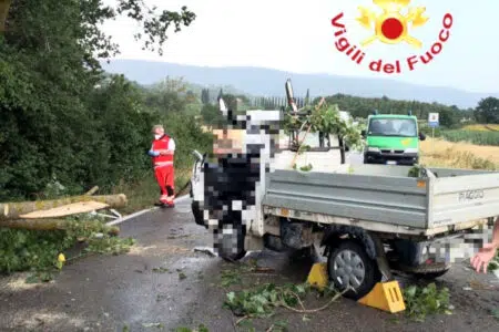 Albero cade su un autocarro: il conducente ferito estratto dai Vigili del Fuoco