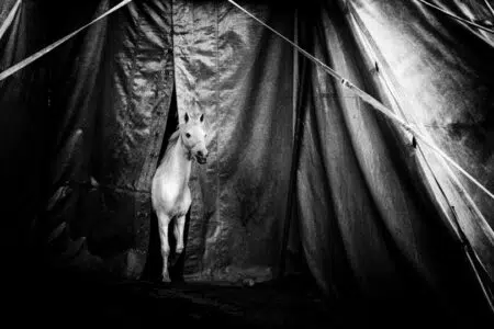Fotografia, danza e poesia animano la ripresa della rassegna “Aperitivi in Danza”