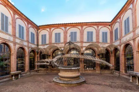 DESTATEVI! 2022, gli spettacoli estivi all’Accademia dei Fisiocritici