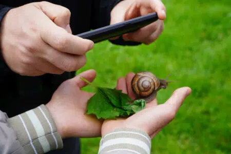 Nasce lo “Sportello della Biodiversità” al Museo di Storia Naturale dell’Accademia dei Fisiocritici