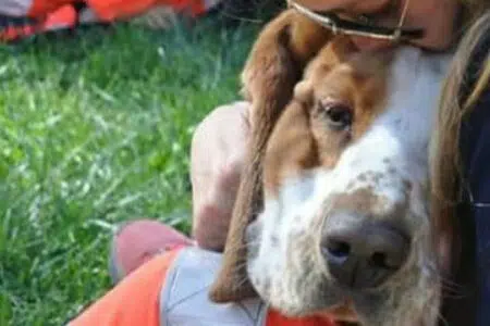 “Comfort-dog”, gli angeli con la coda della Pubblica Assistenza di Siena