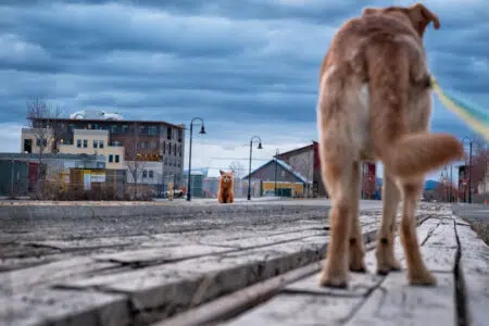 Siena Awards: conto alla rovescia per l’edizione 2022