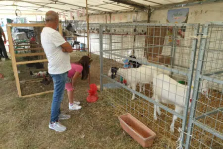 È festa a Torrita di Siena con la Fiera al Piano e Torrita Biodiversità
