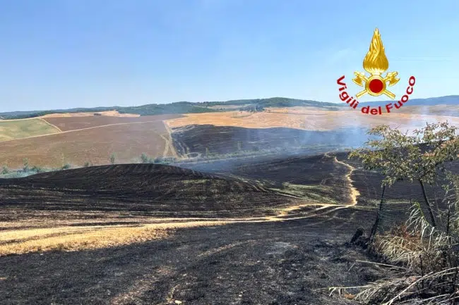 Vasto incendio a campi di grano nel territorio di Monteroni d’Arbia
