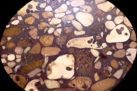 “I Marmi antichi dei Fisiocritici”, risolto il giallo della Breccia frutticolosa, un raro campione di pietra ornamentale