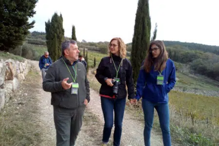 A Castellina in Chianti torna la Camminata tra gli Olivi Camminata tra gli olivi a Castellina in Chianti