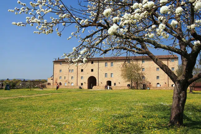 La Valdelsa si racconta con l’arte al Cassero della Fortezza Medicea