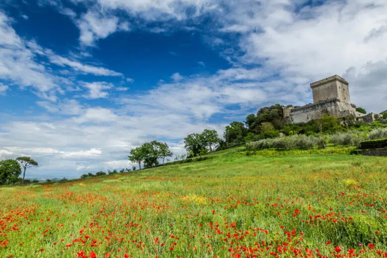 A Sarteano la Camminata tra gli olivi