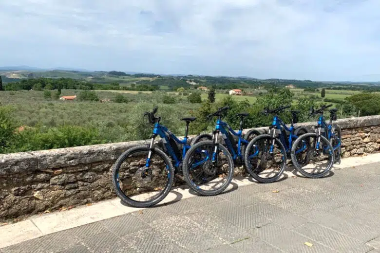Rapolano Terme: Camminata tra gli Olivi con percorsi a piedi e in bicicletta