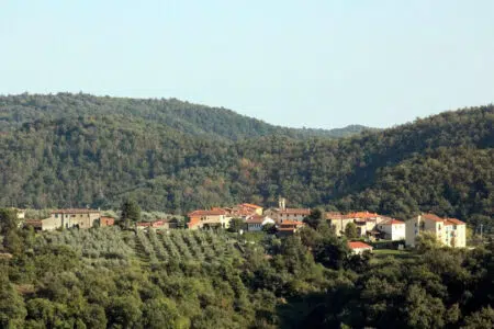 Gaiole, pronti alla Marronata 2022 a Nusenna in Chianti