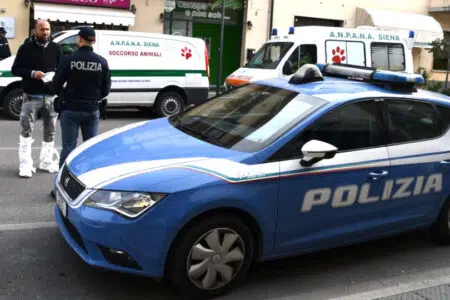 Tiene segregati in casa per anni cani, gatti e altri animali, al buio e in condizioni igieniche ai limiti della sopravvivenza