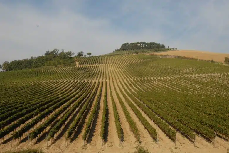 Consorzio Chianti lancia il “Chianti Lovers Japan Tour 2022”