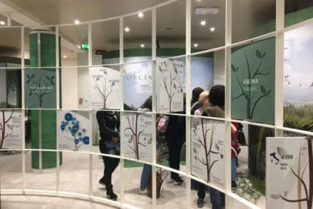 Il Comune di Sovicille lancia il progetto “Esploratori per un giorno”