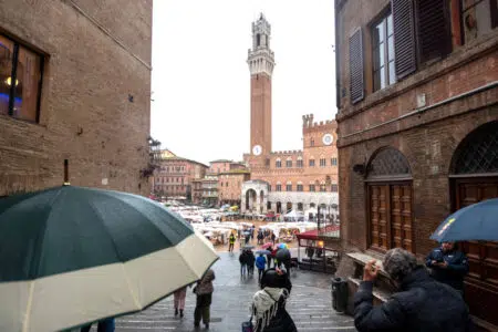 Grande successo per “Il Mercato nel Campo” edizione 2022