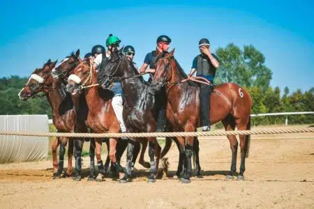 Cavalli da Palio, ultimo appuntamento con i lavori di addestramento a Mociano Corse addestramento cavalli da Palio