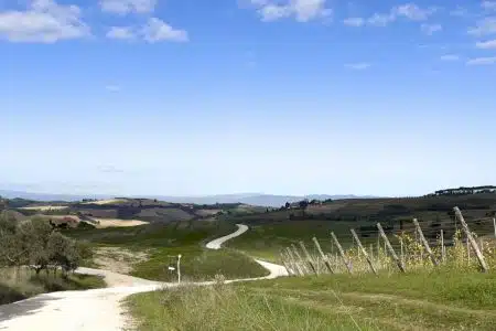 Nasce Montepulciano Active, la rete escursionistica immersa nel Paesaggio rurale storico poliziano