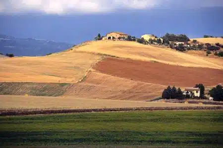Diversificazione delle aziende agricole, in arrivo bando da 5,4 milioni in Toscana