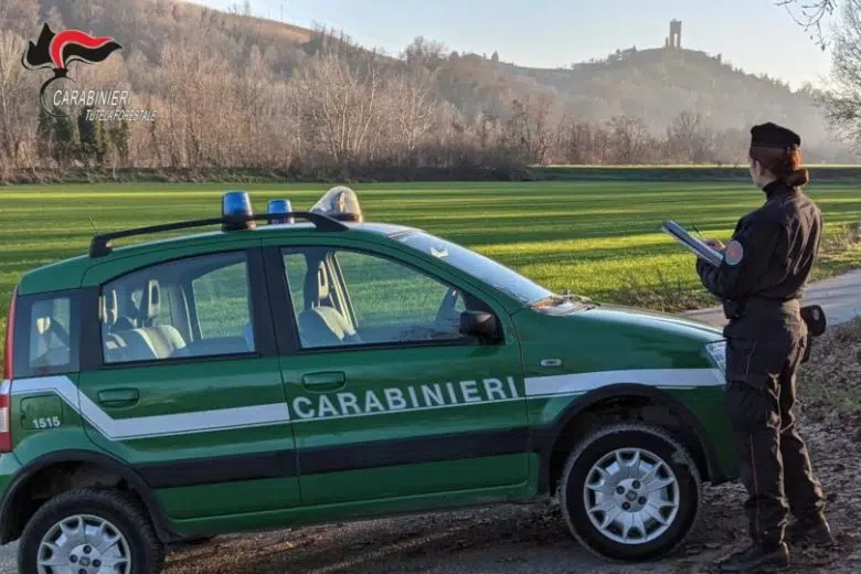 Carabinieri Forestali: sequestro passaporti di cavalli in scuderia Carabinieri Forestali, auto, donna