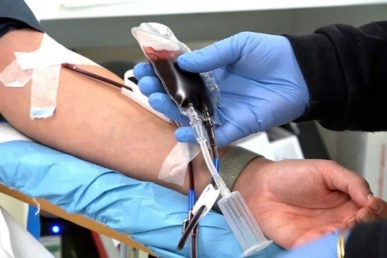 Giornata Mondiale del Donatore di sangue, le iniziative in provincia di Siena Donazione sangue