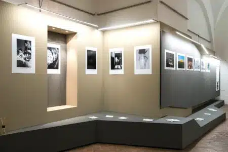 “Dolce acqua” in mostra a palazzo Patrizi Galleria Olmastroni, Palazzo Patrizi