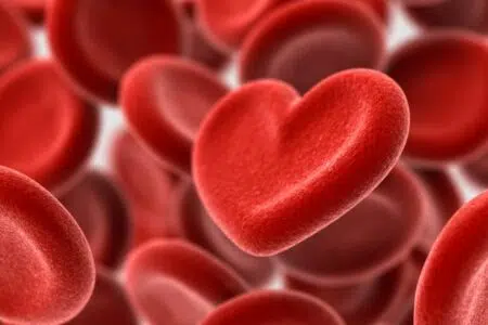 Centri trasfusionali Asl Tse, i dati delle donazioni di sangue in provincia di Siena Donazione sangue, globuli rossi, cuore