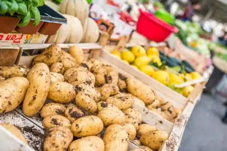 Mercato straordinario a Siena, ecco le date del 2026 Mercato, bancarella