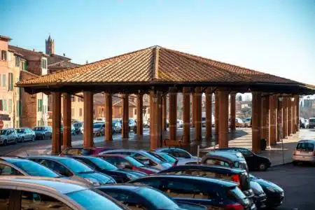 Stati generali della salute, il 17 aprile corsi gratuiti di primo soccorso Piazza del Mercato, Tartarugone