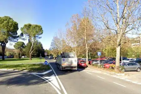 Siena, nuove piante in viale Bracci: via alla riqualificazione
