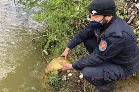 Bracconaggio ittico nel Lago di Chiusi: intervengono i Carabinieri Forestali