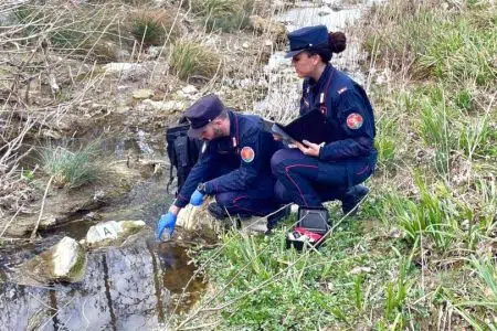 Moria di pesci nel torrente Copra ad Asciano, intervengono di Carabinieri Forestali