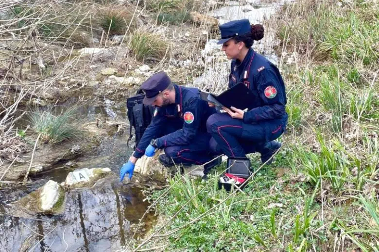 Moria di pesci nel torrente Copra ad Asciano, intervengono di Carabinieri Forestali