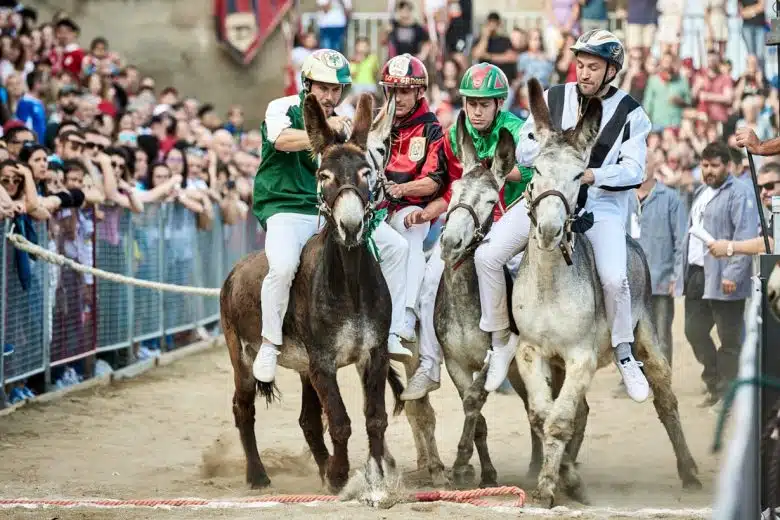 A Torrita di Siena il 66° Palio dei Somari